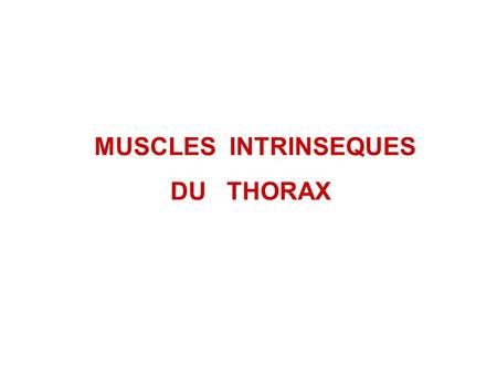 MUSCLES INTRINSEQUES DU THORAX.