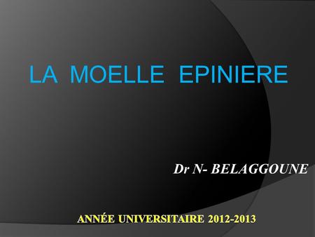 LA MOELLE EPINIERE Dr N- BELAGGOUNE Année universitaire 2012-2013.