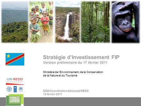 Stratégie d’Investissement FIP Version préliminaire du 17 février 2011