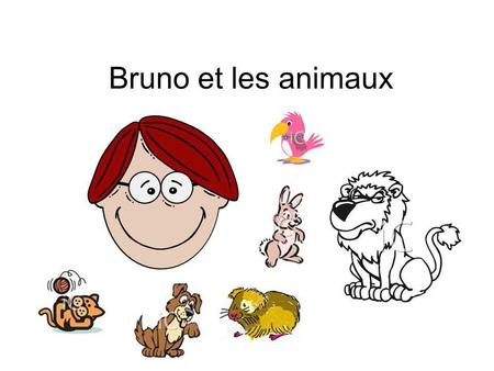 Bruno et les animaux.