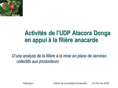 Activités de l’UDP Atacora Donga en appui à la filière anacarde