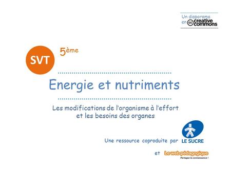 SVT Energie et nutriments 5ème