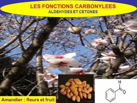 LES FONCTIONS CARBONYLEES Amandier : fleurs et fruit