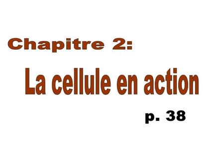Chapitre 2: La cellule en action p. 38.