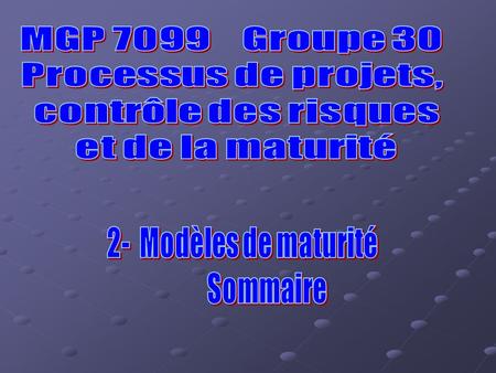 MGP Groupe 30 Processus de projets, contrôle des risques