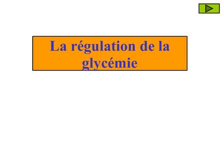 La régulation de la glycémie