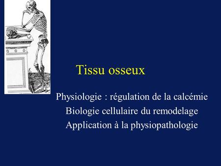 Tissu osseux Physiologie : régulation de la calcémie