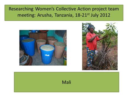 Mali Researching Womens Collective Action project team meeting: Arusha, Tanzania, 18-21 st July 2012.
