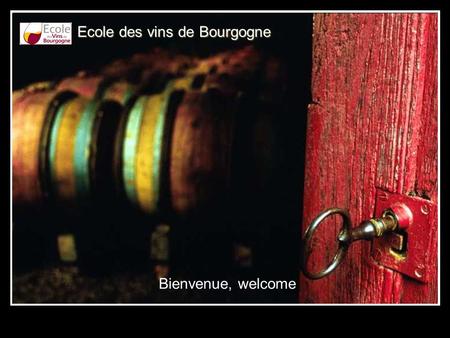 Ecole des vins de Bourgogne Bienvenue, welcome. Dégustations commentées en salle de dégustation Tutored wine tasting in our tasting rooms.