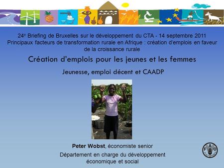 24e Briefing de Bruxelles sur le développement du CTA - 14 septembre 2011 Principaux facteurs de transformation rurale en Afrique : création d’emplois.