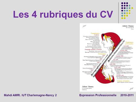 Les 4 rubriques du CV Mahdi AMRI. IUT Charlemagne-Nancy 2 Expression Professionnelle 2010-2011.
