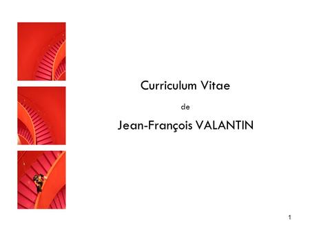 Curriculum Vitae de Jean-François VALANTIN
