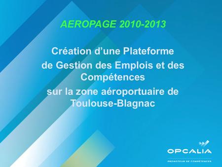 AEROPAGE 2010-2013 Création dune Plateforme de Gestion des Emplois et des Compétences sur la zone aéroportuaire de Toulouse-Blagnac.