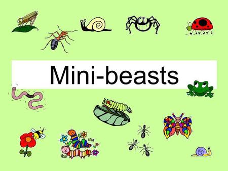 Mini-beasts. This is a Magic PowerPoint or How to make sure this PowerPoint behaves like an Interactive Whiteboard.