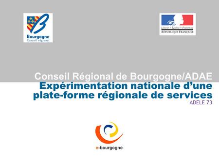 Conseil Régional de Bourgogne/ADAE Expérimentation nationale d’une plate-forme régionale de services ADELE 73.