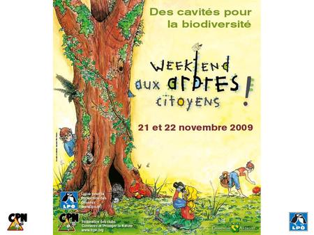 Week-end « Aux arbres, citoyens ! » – 21 & 22 novembre 2009