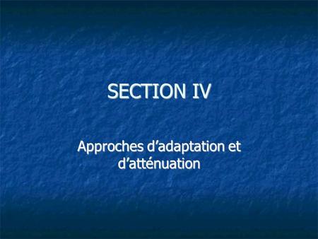 SECTION IV Approches dadaptation et datténuation.