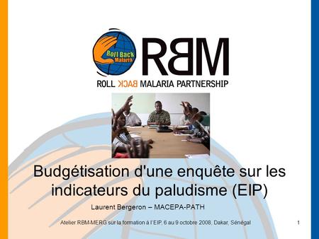 Budgétisation d'une enquête sur les indicateurs du paludisme (EIP)