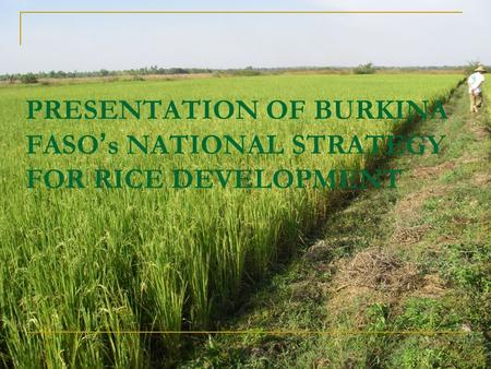 PRESENTATION OF BURKINA FASO s NATIONAL STRATEGY FOR RICE DEVELOPMENT.