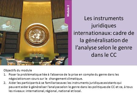 Les instruments juridiques internationaux: cadre de la généralisation de l’analyse selon le genre dans le CC Objectifs du module Poser la problématique.
