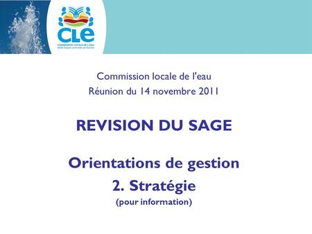 Commission locale de l'eau Réunion du 14 novembre 2011 REVISION DU SAGE Orientations de gestion 2. Stratégie (pour information)
