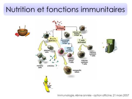 Nutrition et fonctions immunitaires