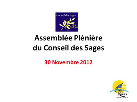 Assemblée Plénière du Conseil des Sages 30 Novembre 2012.