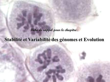 Stabilité et Variabilité des génomes et Evolution
