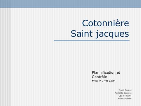 Cotonnière Saint jacques