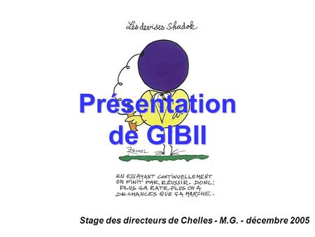 Stage des directeurs de Chelles - M.G. - décembre 2005 Présentation de GIBII.