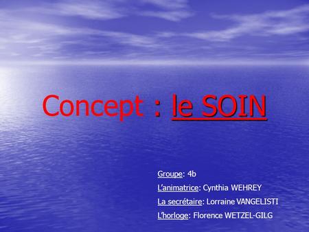 Concept : le SOIN Groupe: 4b L’animatrice: Cynthia WEHREY