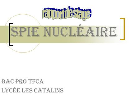 Bac pro TFCA Lycée les catalins