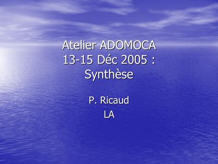 Atelier ADOMOCA 13-15 Déc 2005 : Synthèse P. Ricaud LA.