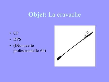 Objet: La cravache CP DP6 (Découverte professionnelle 6h)