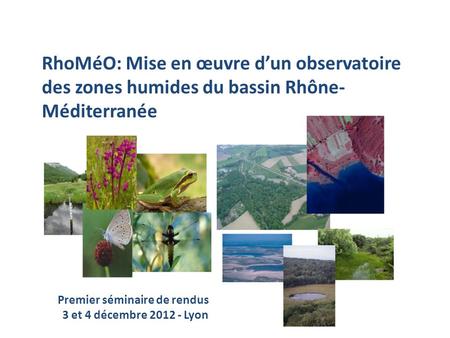 RhoMéO RhoMéO: Mise en œuvre dun observatoire des zones humides du bassin Rhône- Méditerranée Premier séminaire de rendus 3 et 4 décembre 2012 - Lyon.
