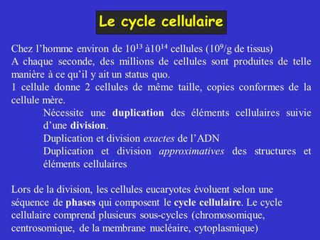 Le cycle cellulaire Chez l’homme environ de 1013 à1014 cellules (109/g de tissus) A chaque seconde, des millions de cellules sont produites de telle manière.
