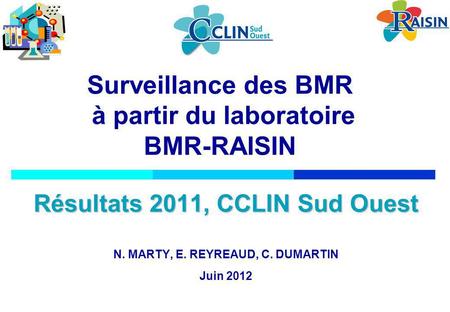 Surveillance des BMR à partir du laboratoire BMR-RAISIN