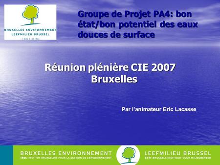 1 Groupe de Projet PA4: bon état/bon potentiel des eaux douces de surface Réunion plénière CIE 2007 Bruxelles Par lanimateur Eric Lacasse.