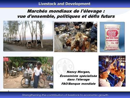 1 Marchés mondiaux de l'élevage : vue d'ensemble, politiques et défis futurs Nancy Morgan, Économiste spécialisée dans l'élevage FAO/Banque mondiale.