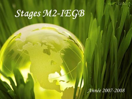 Stages M2-IEGB Année 2007-2008.