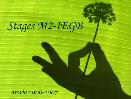 Stages M2-IEGB Année 2006-2007. Classification Par thèmes: –Environnement et développement durable Aménagement du territoire, développement durable et.