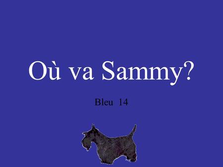 Où va Sammy? Bleu 14.