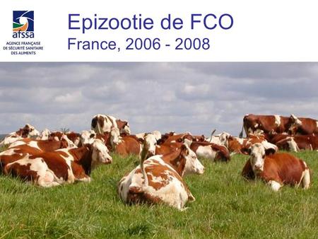 Epizootie de FCO France,
