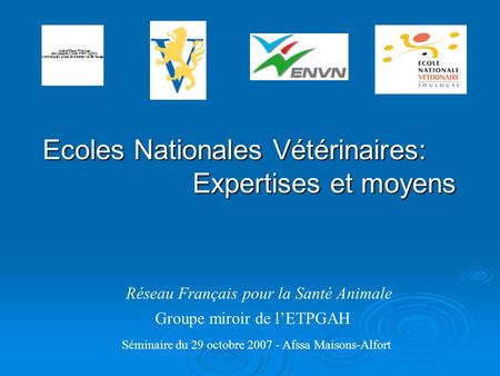 Réseau Français pour la Santé Animale Groupe miroir de lETPGAH Séminaire du 29 octobre 2007 - Afssa Maisons-Alfort Ecoles Nationales Vétérinaires: Expertises.