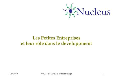 12/ 2010PACC – PME/PMF Dakar Sénégal1 Les Petites Entreprises et leur rôle dans le developpment.