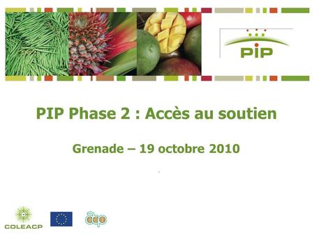 . PIP Phase 2 : Accès au soutien Grenade – 19 octobre 2010.