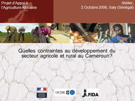 Atelier, 2 Octobre 2006, Saly (Sénégal) Quelles contraintes au développement du secteur agricole et rural au Cameroun? Projet dAppui à lAgriculture Africaine.