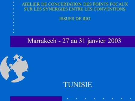 Marrakech - 27 au 31 janvier 2003 TUNISIE ATELIER DE CONCERTATION DES POINTS FOCAUX SUR LES SYNERGIES ENTRE LES CONVENTIONS ISSUES DE RIO.