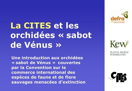 La CITES et les orchidées « sabot de Vénus »