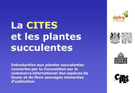 La CITES et les plantes succulentes